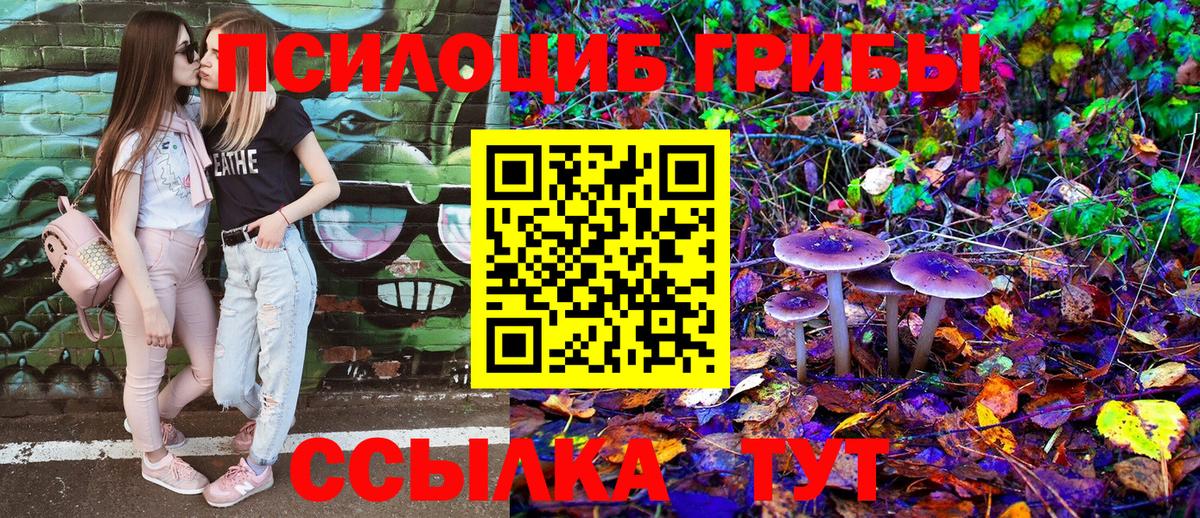 Орехово-Зуево  Галлюциногенные грибы Psilocybine cubensis  Галлюциногенные грибы Cubensis  Вход с VPN 